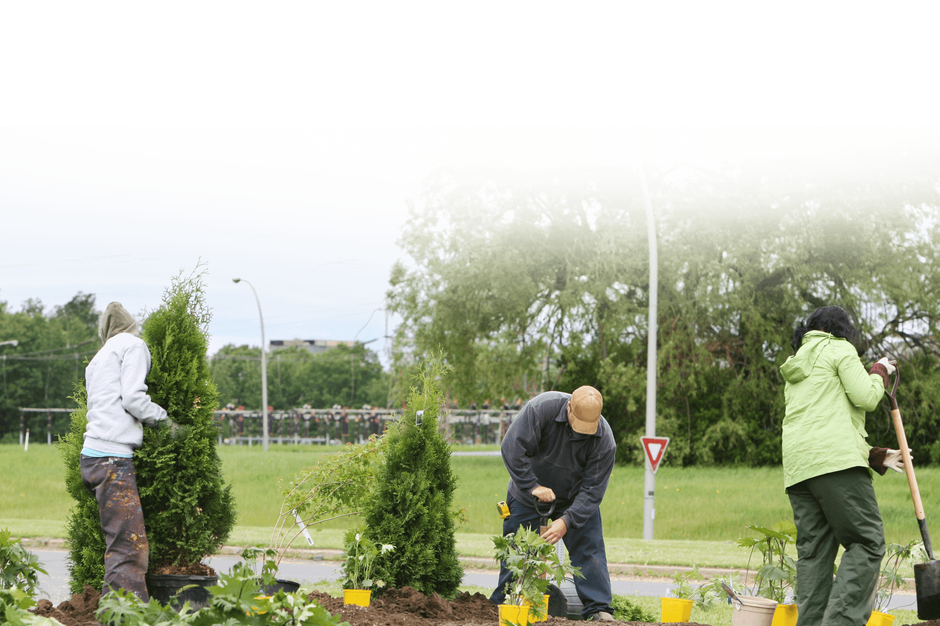 VILLAGE GREEN LANDSCAPING LLC logo